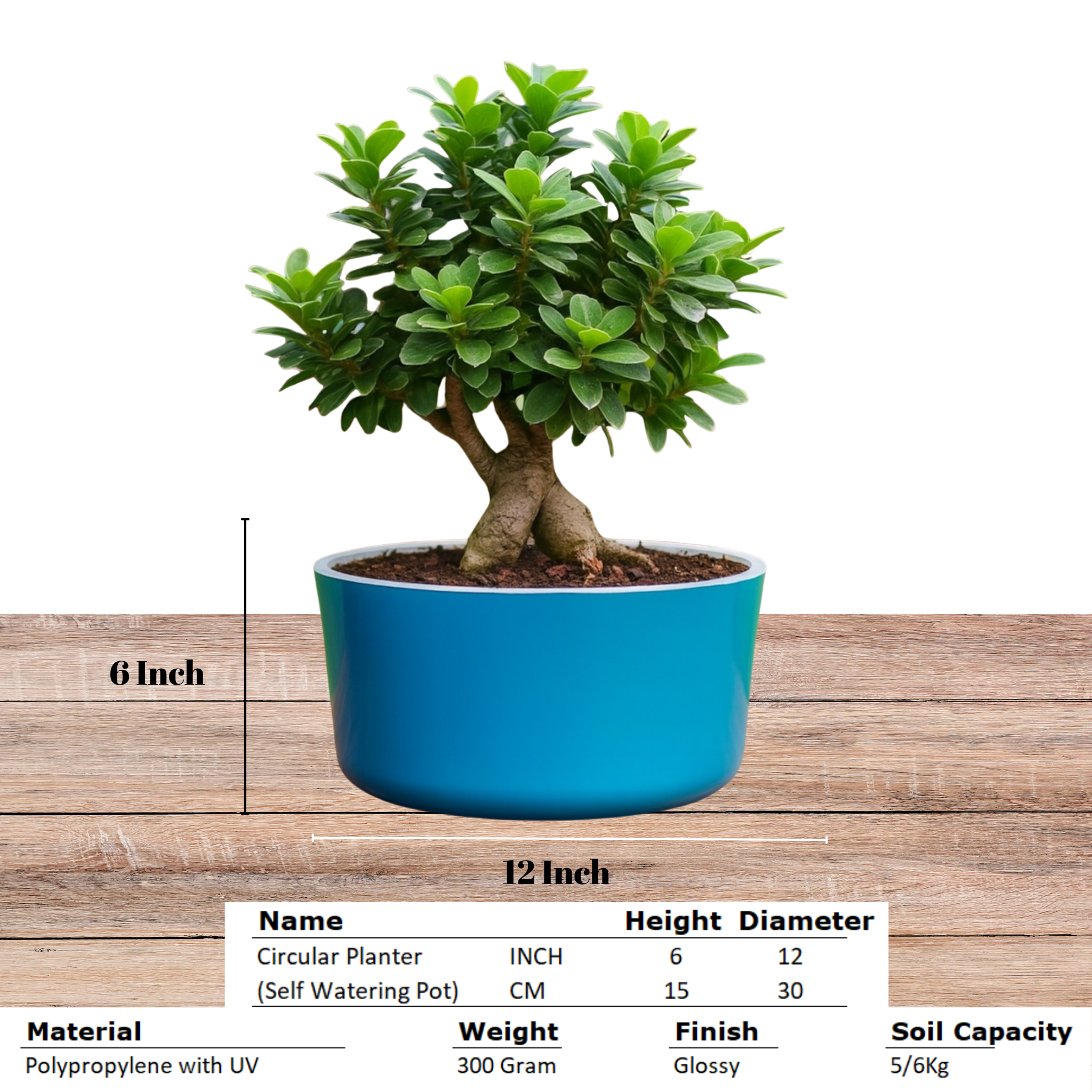 Big Circular Self-Watering Plant Container – Sea Green