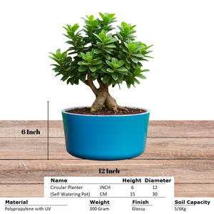 Big Circular Self-Watering Plant Container – Sea Green
