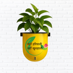 Elegant Yellow Self-Watering Wall Hanging Sphere Planter-1 PC