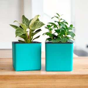 Elegant Peacock Green Self-Watering Custmize Wall Hanging Square Planter-1 PC