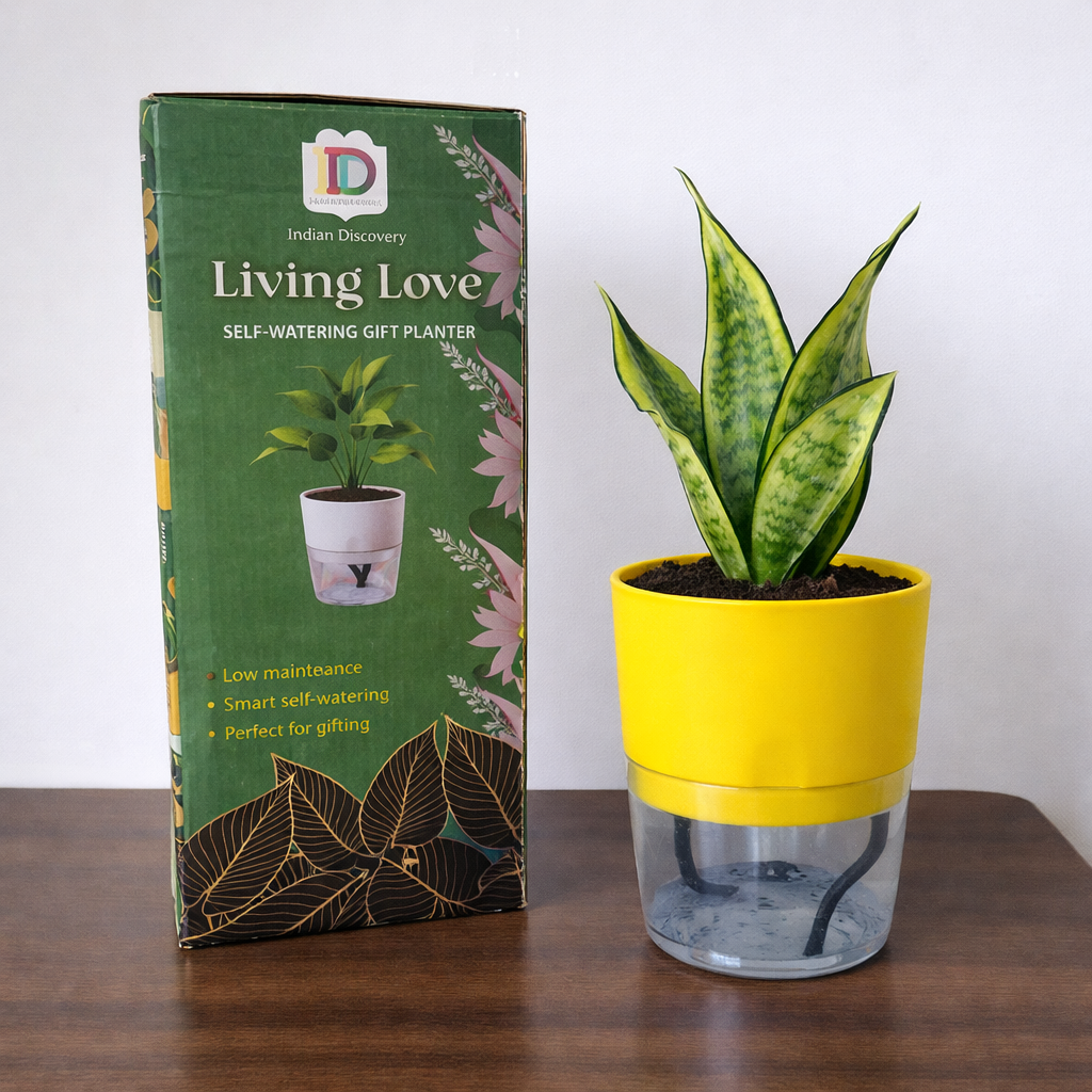 Self Watering Planter with Live Indoor Plant-Yellow