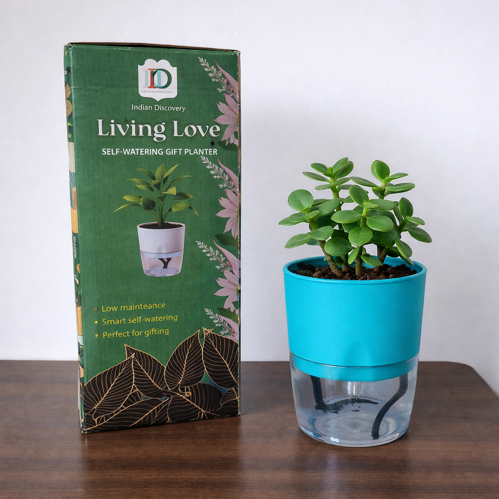 Self Watering Planter with Live Indoor Plant-Sea Green