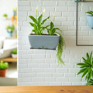 Rectangular Self-Watering Wall Planter - Gray