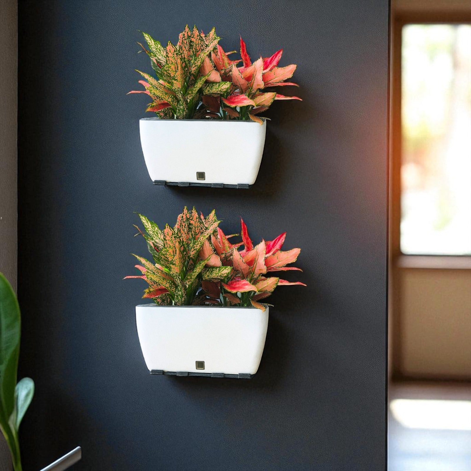 Rectangular Self-Watering Wall Planter - White