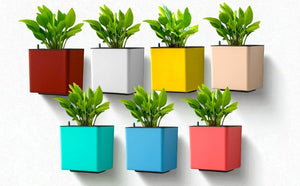 Elegant Yellow Self-Watering Customize Wall Hanging Square Planter-1 PC