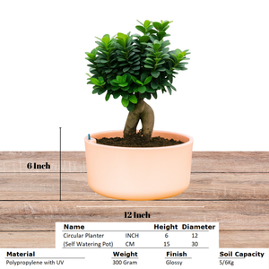 Big Circular Self-Watering Plant Container – Peach