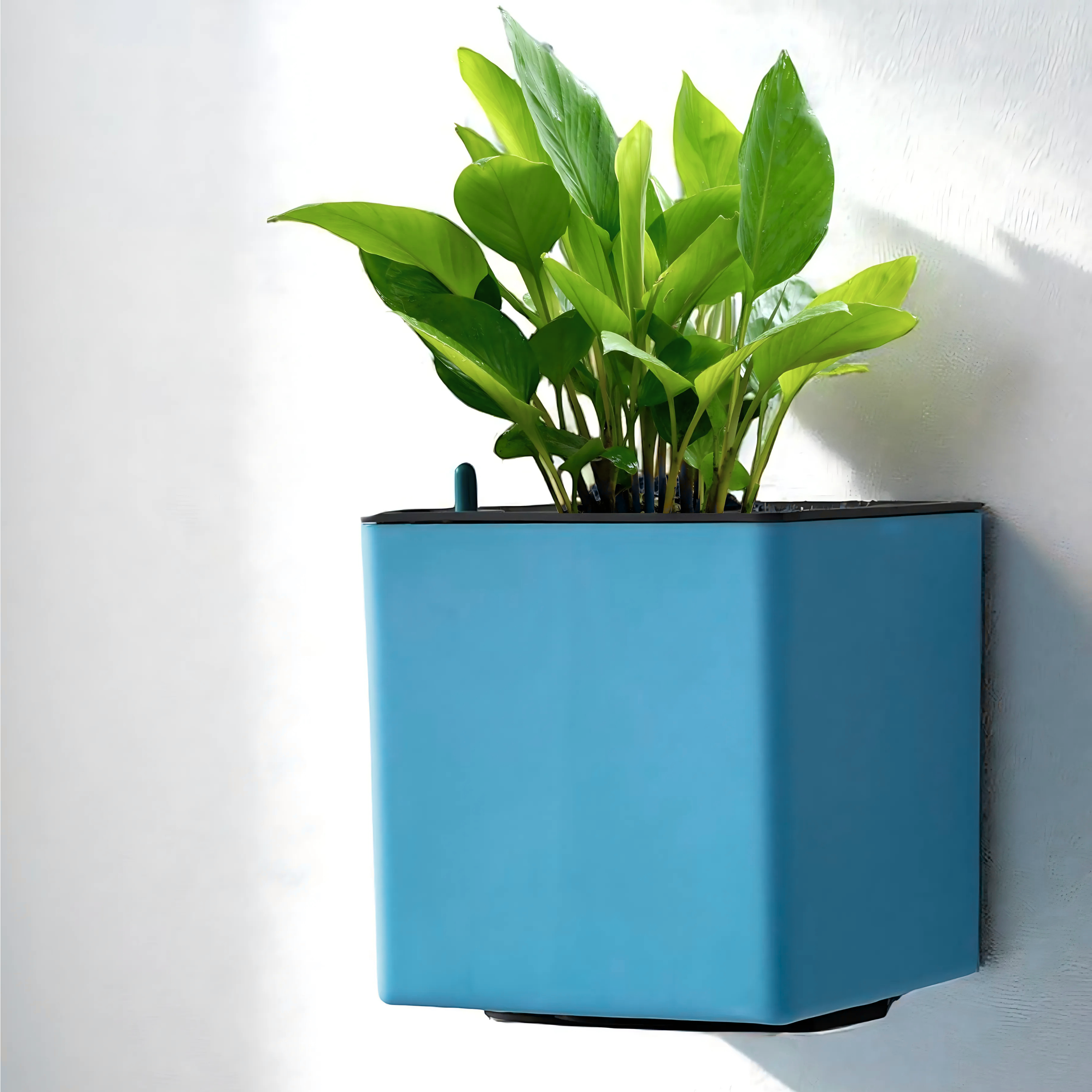 Elegant Sea Green Self-Watering Wall Hanging Square Planter