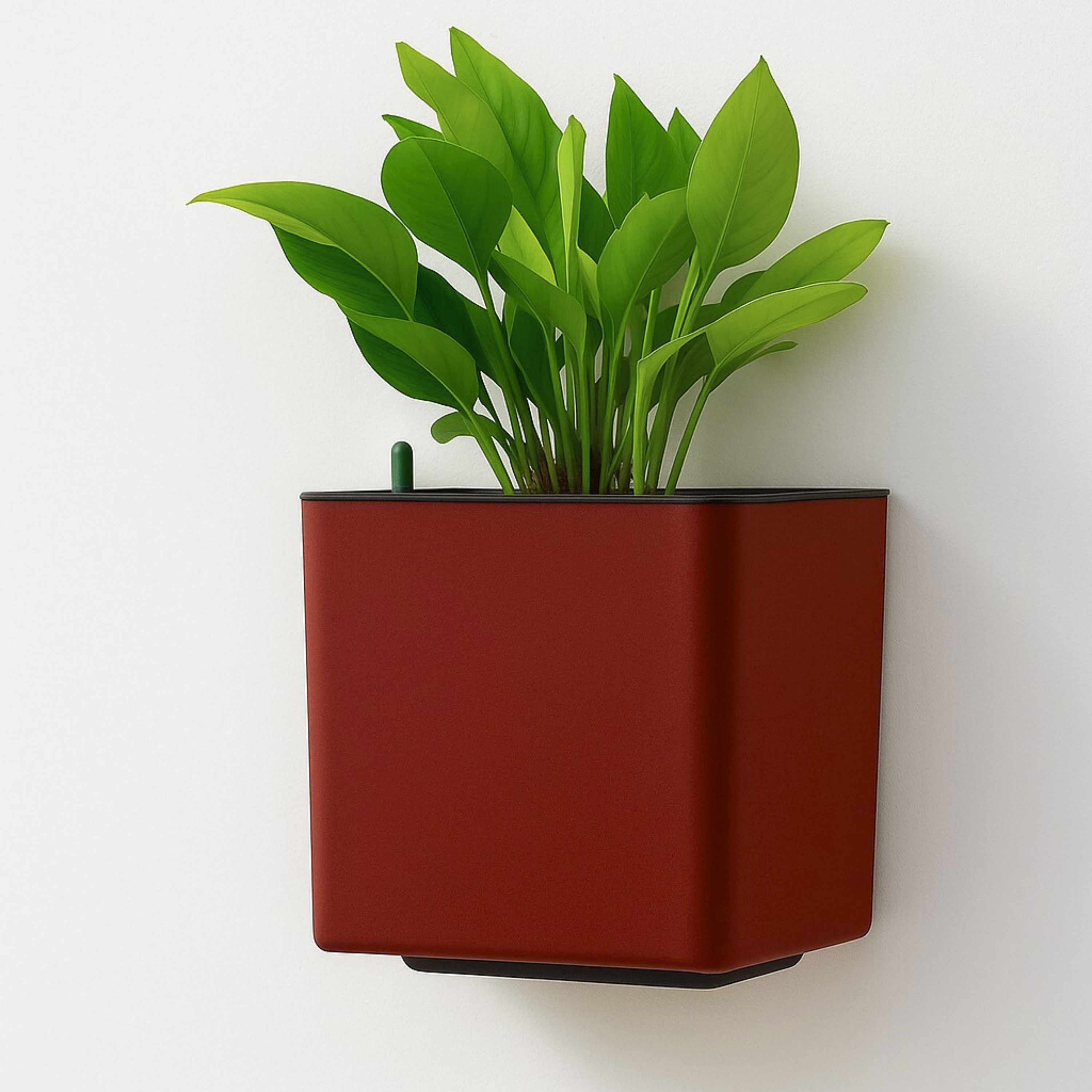 Elegant Maroon Self-Watering Wall Hanging Square Planter