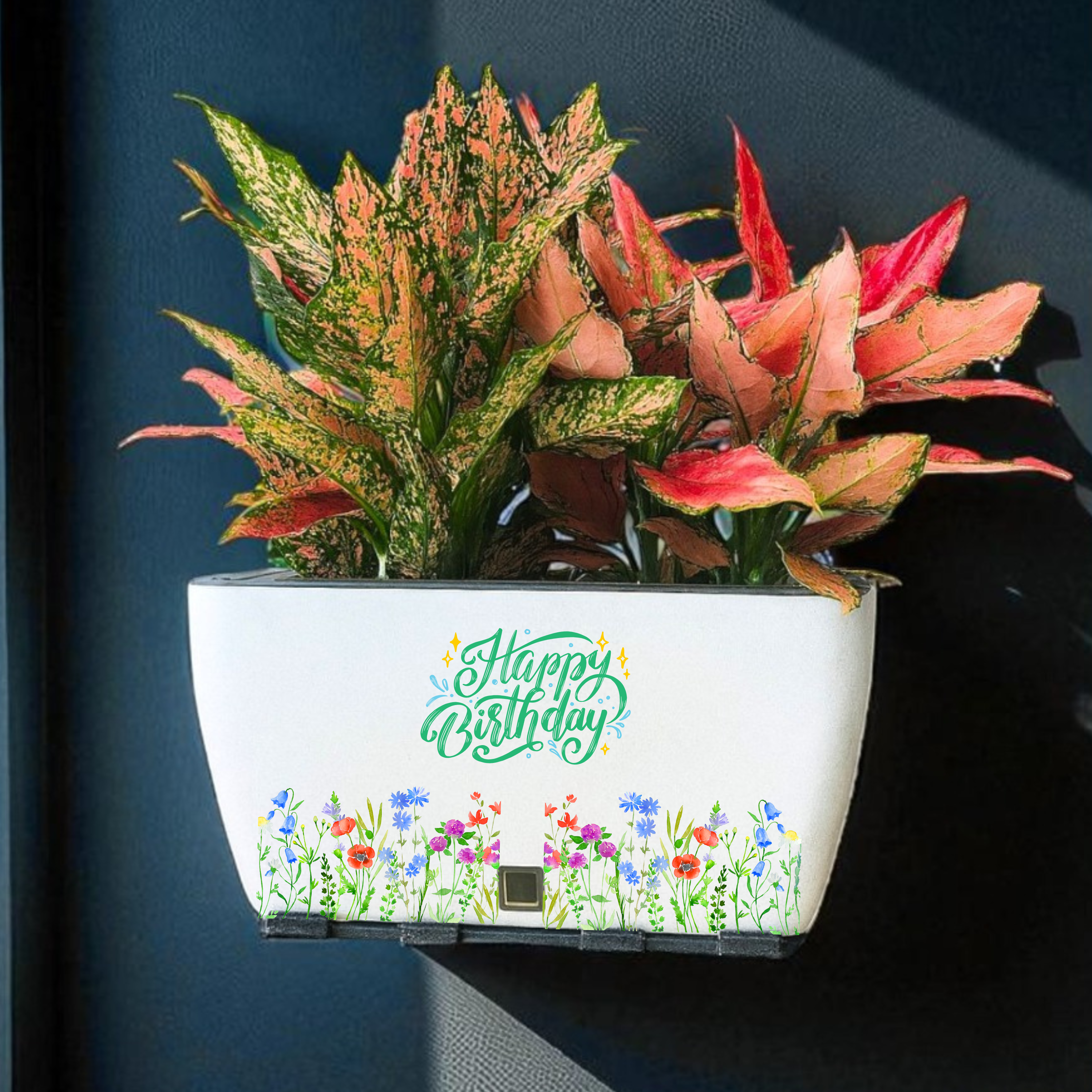 Happy Birthday Planter |Self-Watering Flower Pot Gift-White