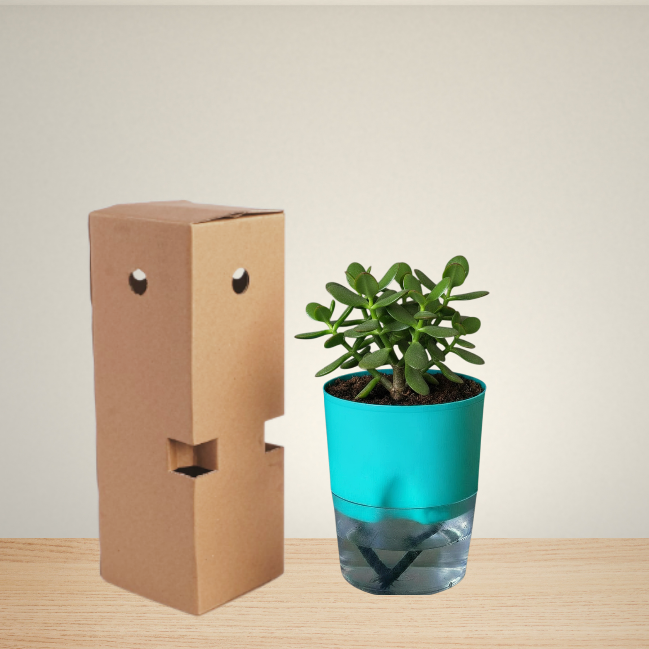 Self Watering Planter with Live Indoor Plant-Sea Green