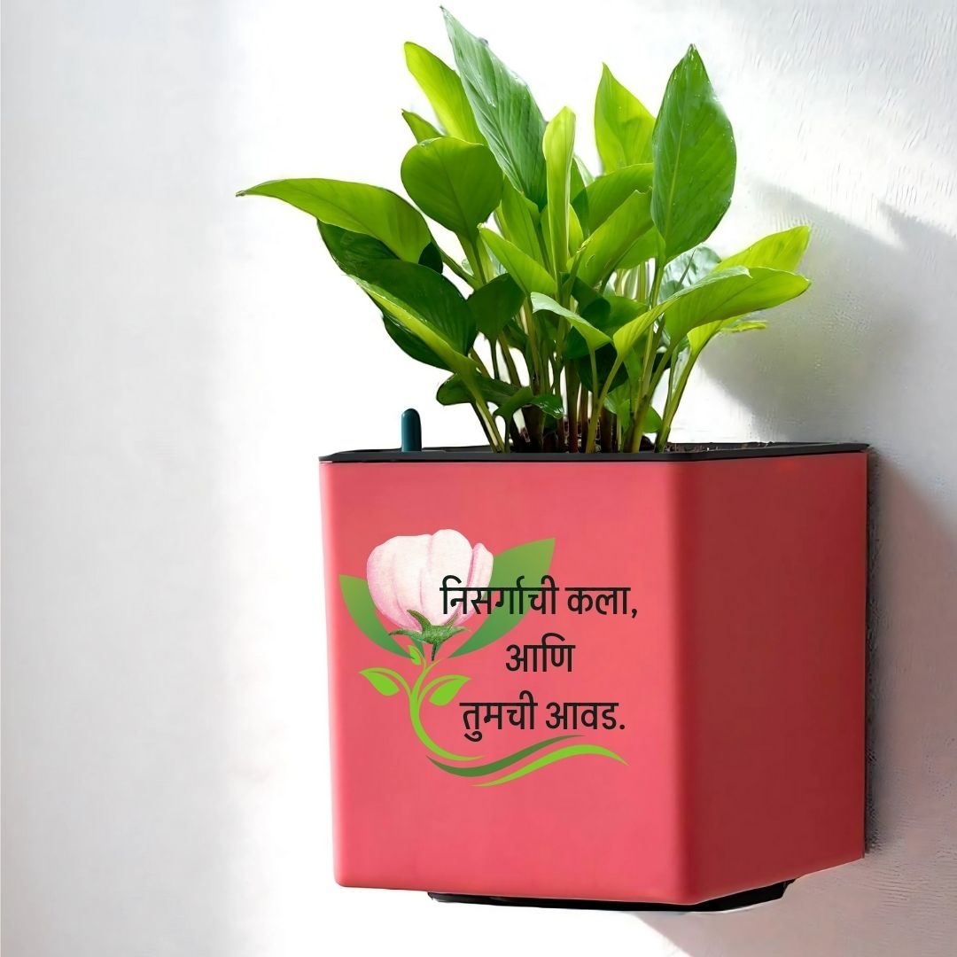 Elegant Yellow Self-Watering Customized Wall Hanging Square Planter-1 PC