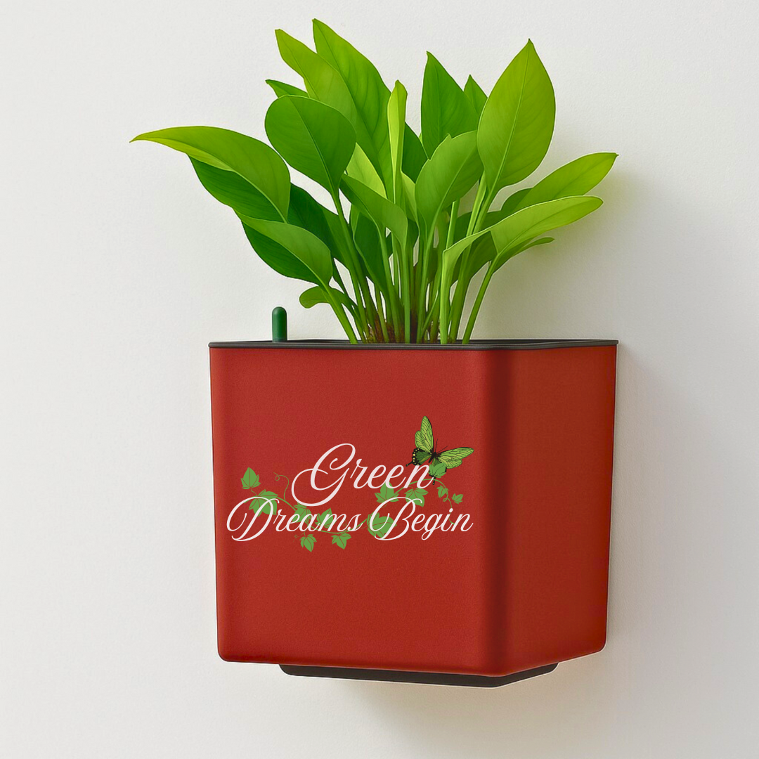 Elegant Maroon Self-Watering Wall Hanging Square Planter-1 PC