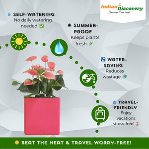 Indian Discovery Self-Watering Wall Hanging Planters (1 Pcs, Baby Pink, Square) | UV-Resistant Hanging Pots with Stand | Plastic Planters for Balcony, Living Room, Home Décor & Gardening