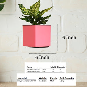Indian Discovery Self-Watering Wall Hanging Planters (1 Pcs, Baby Pink, Square) | UV-Resistant Hanging Pots with Stand | Plastic Planters for Balcony, Living Room, Home Décor & Gardening