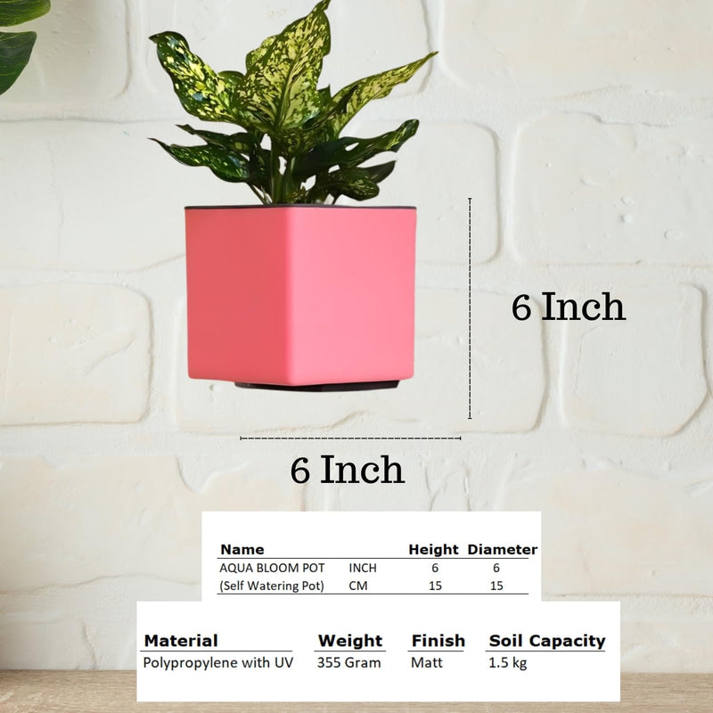 Indian Discovery Self-Watering Wall Hanging Planters (2 Pcs, Baby Pink, Square) | UV-Resistant Hanging Pots with Stand | Plastic Planters for Balcony, Living Room, Home Décor & Gardening