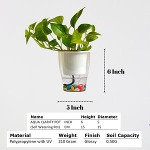 Elegant White Self-Watering Clear Planter-2PC