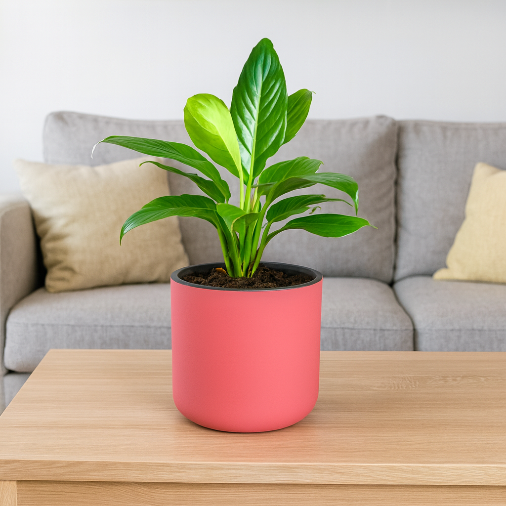 Classic Baby Pink Self-Watering Round Planter