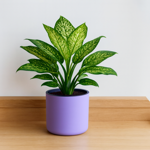 Classic Violet Self-Watering Round Planter
