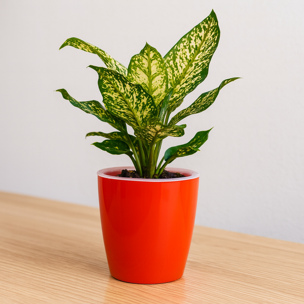 Elegant Red Self-Watering Vistara Planter-2PC