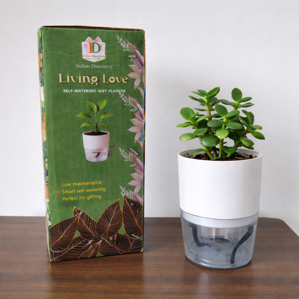 Self Watering Planter with Live Indoor Plant-Sea Green