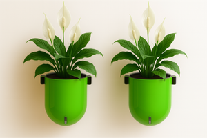 Elegant Parrot Green Self-Watering Wall Hanging Sphere Planter