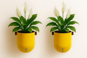 Elegant Yellow Self-Watering Wall Hanging Sphere Planter