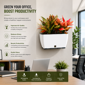 Rectangular Self-Watering Wall Planter - White