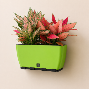 Rectangular Self-Watering Wall Planter - Green