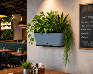 Rectangular Self-Watering Wall Planter - Gray