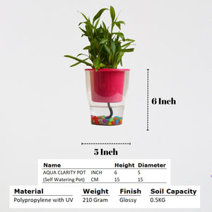 Elegant Pink Self-Watering Clear Planter-2PC