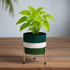 Designer Metal Planter with Stand for Indoor & Outdoor Plants