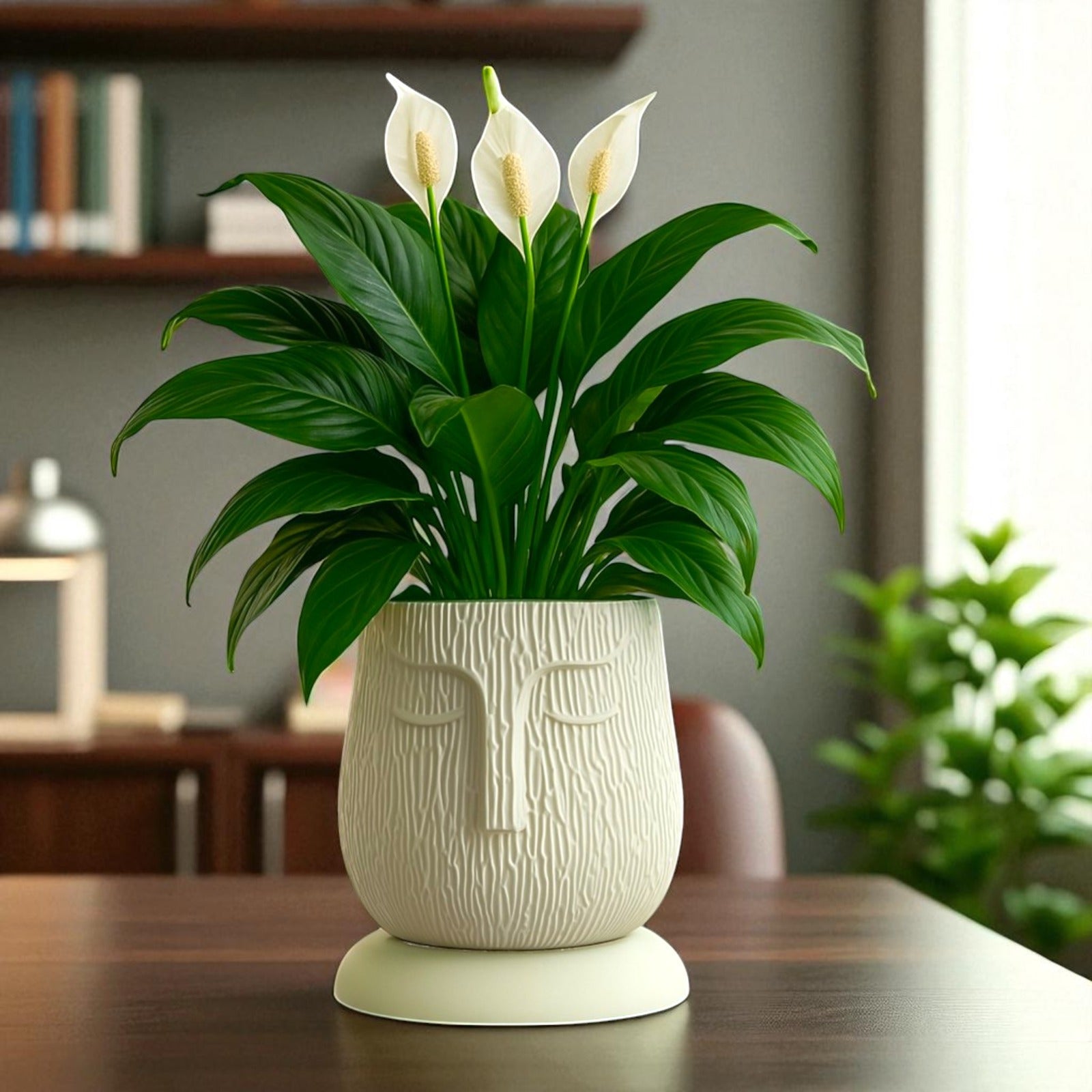 Artistic Ivory Self Watering Face Craft Planter - 1PC