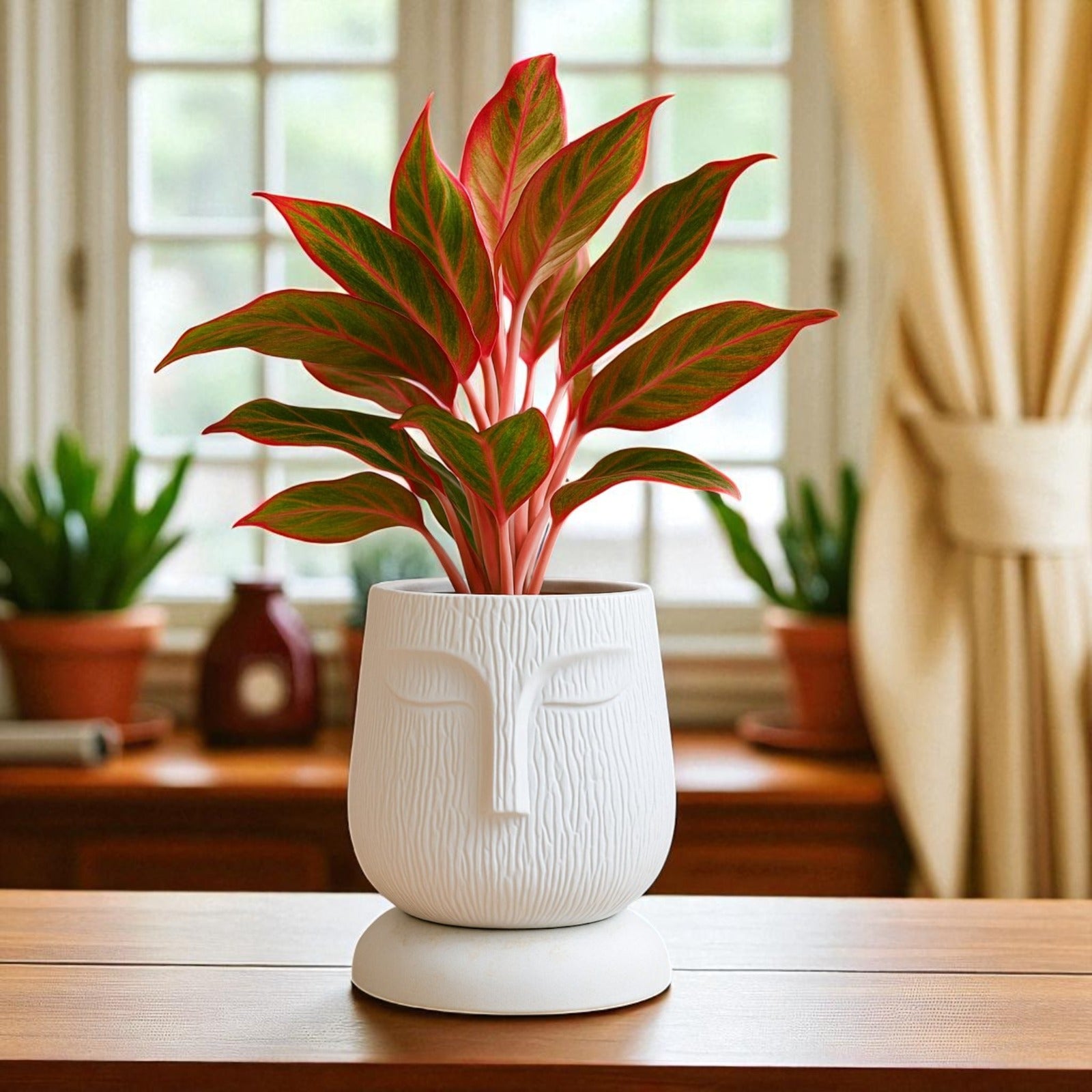 Artistic Self Watering Face Craft White Planter-1PC