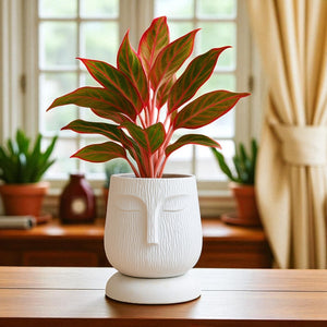 Artistic Self Watering Face Craft White Planter-1PC