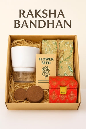 Raksha Bandhan Eco Gift Box - Hamper 2