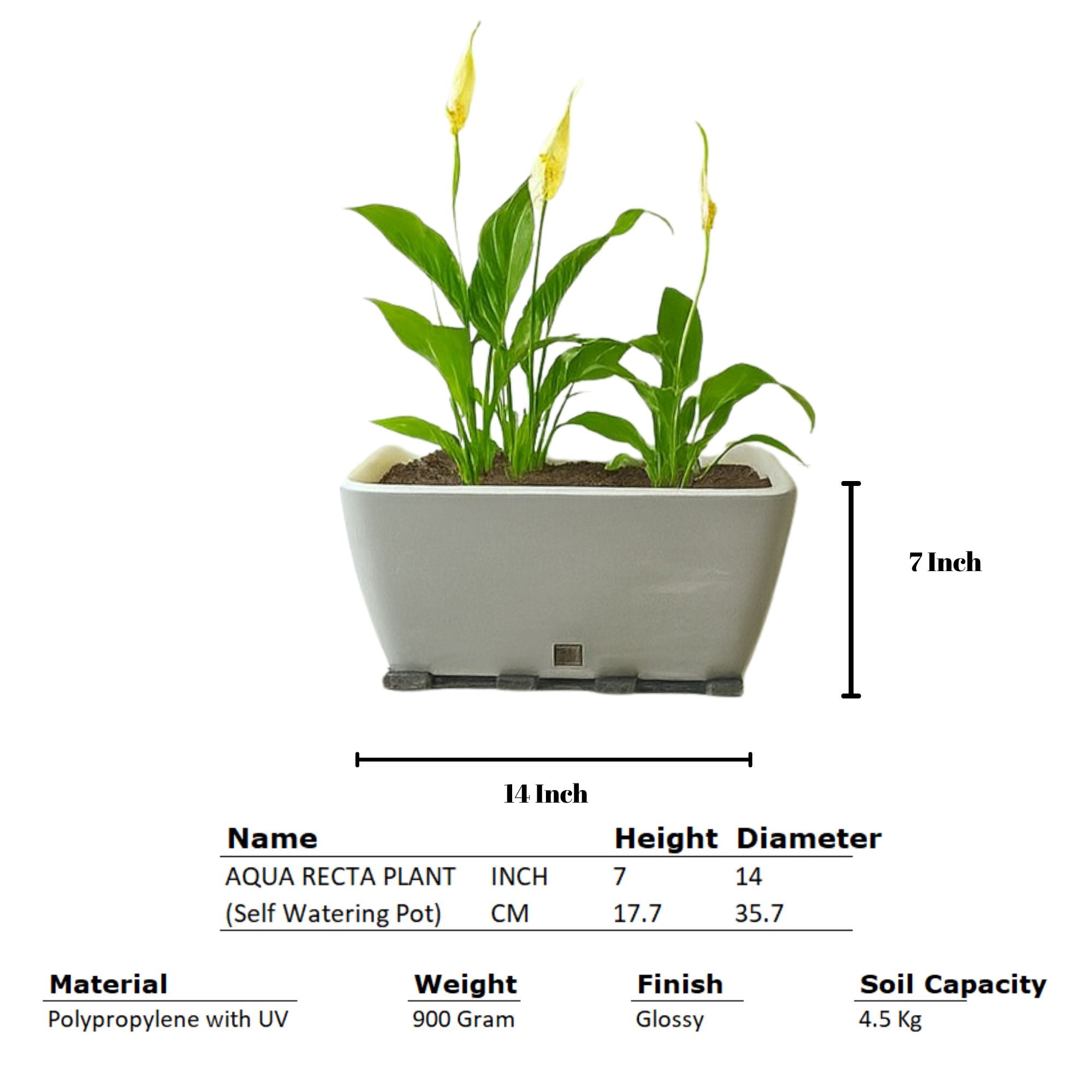 Rectangular Self-Watering Wall Planter - Stone Gray