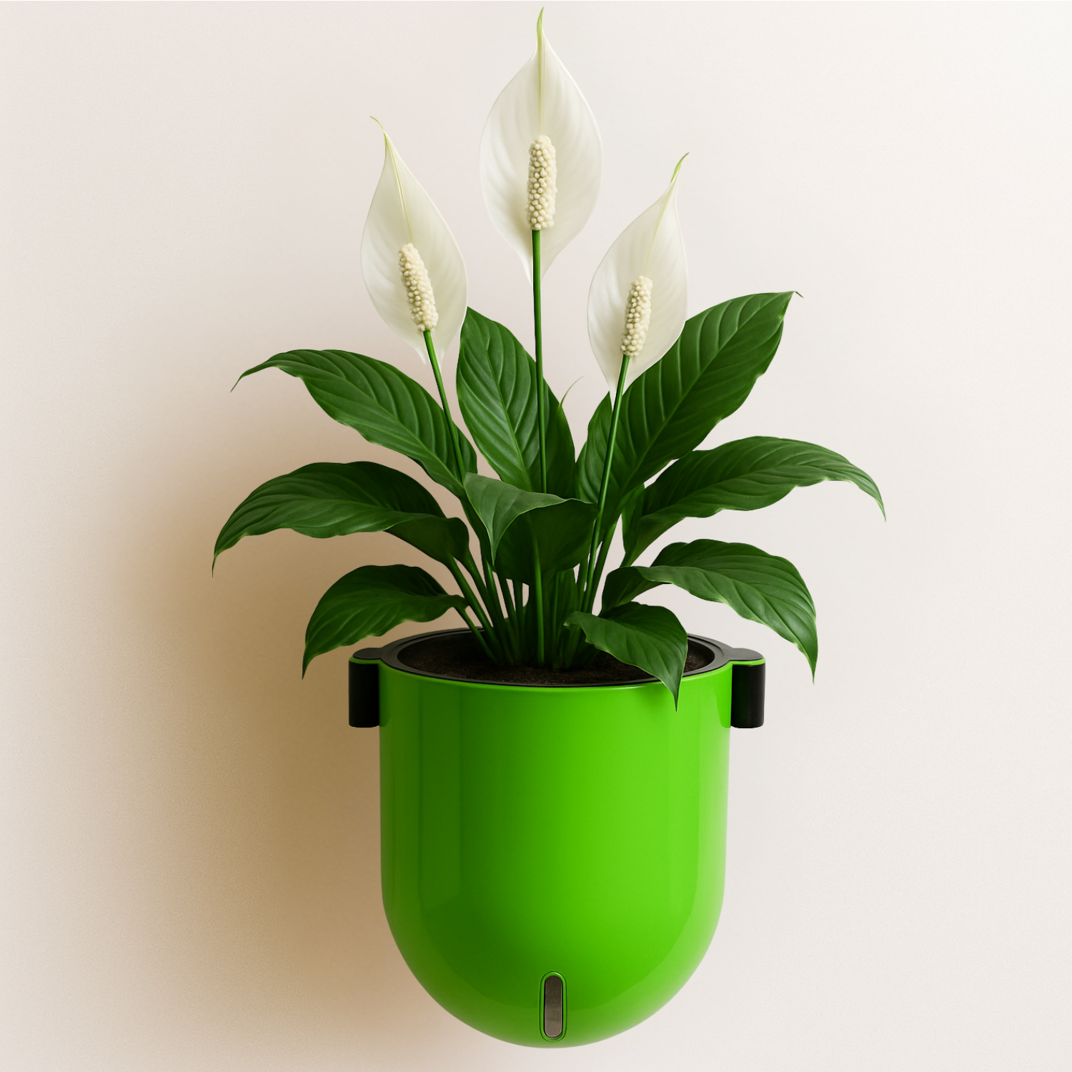Elegant Parrot Green Self-Watering Wall Hanging Sphere Planter