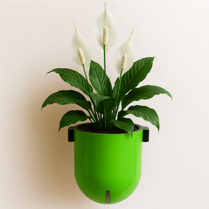 Elegant Parrot Green Self-Watering Wall Hanging Sphere Planter