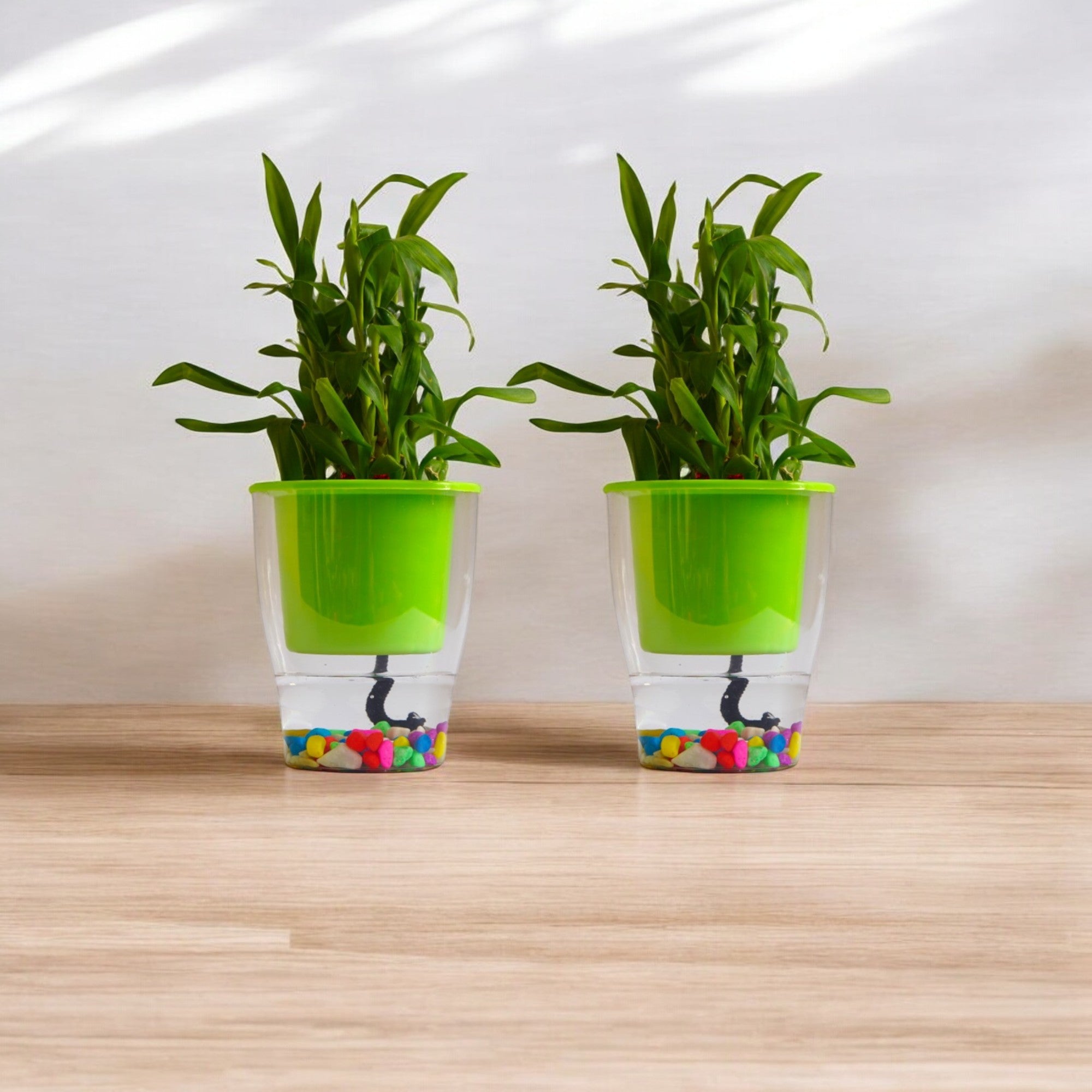 Elegant Parrot Green Self-Watering Clear Planter-2PC
