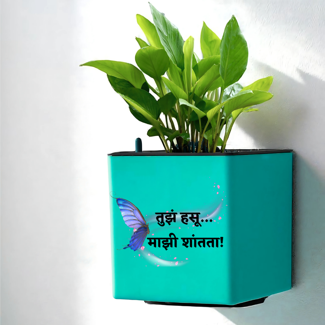 Elegant Peacock Green Self-Watering Custmize Wall Hanging Square Planter-1 PC