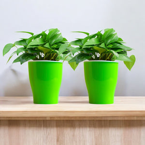 Elegant Green Self-Watering Cone Planter-2PC
