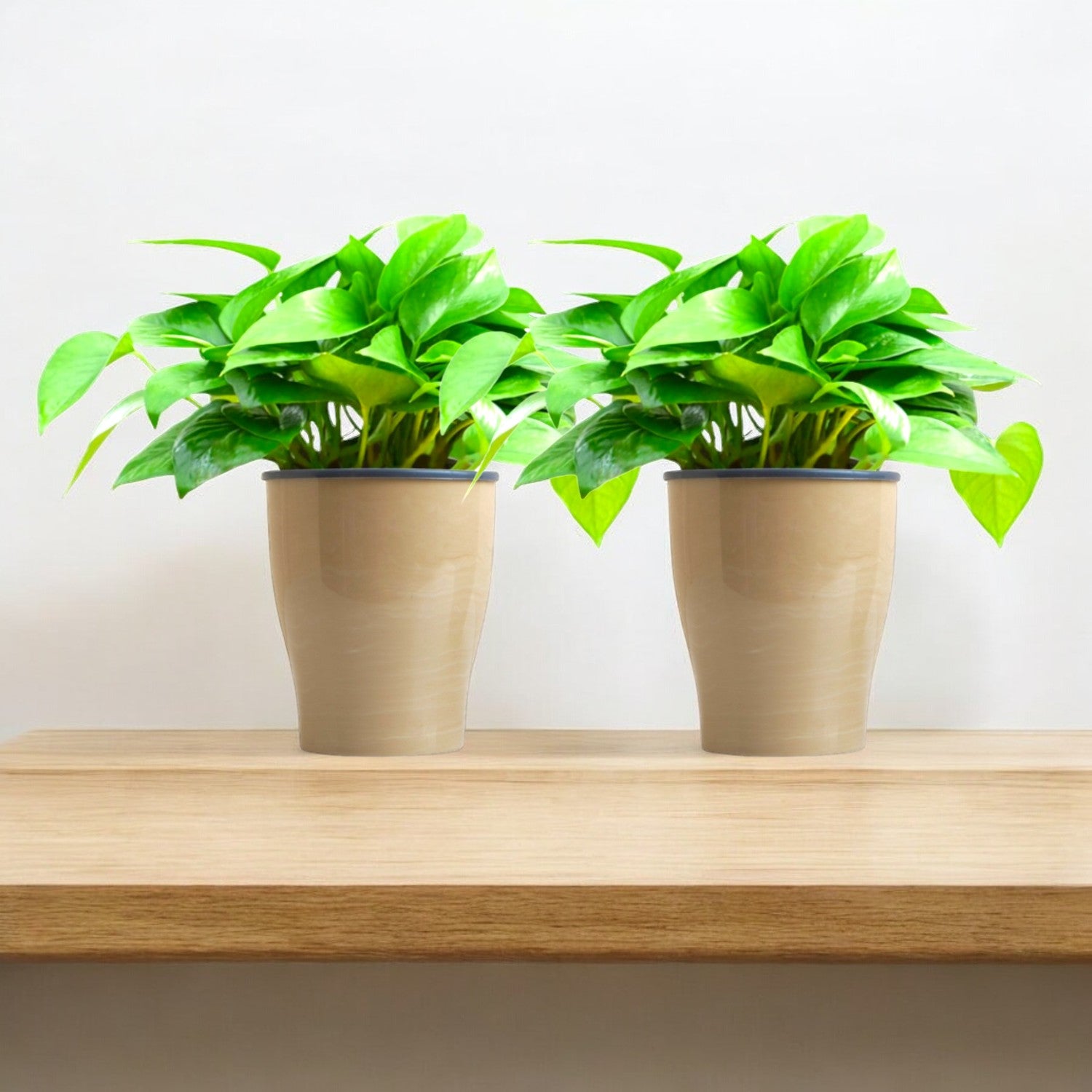 Elegant Italian Marble Self-Watering Cone Planter-2PC