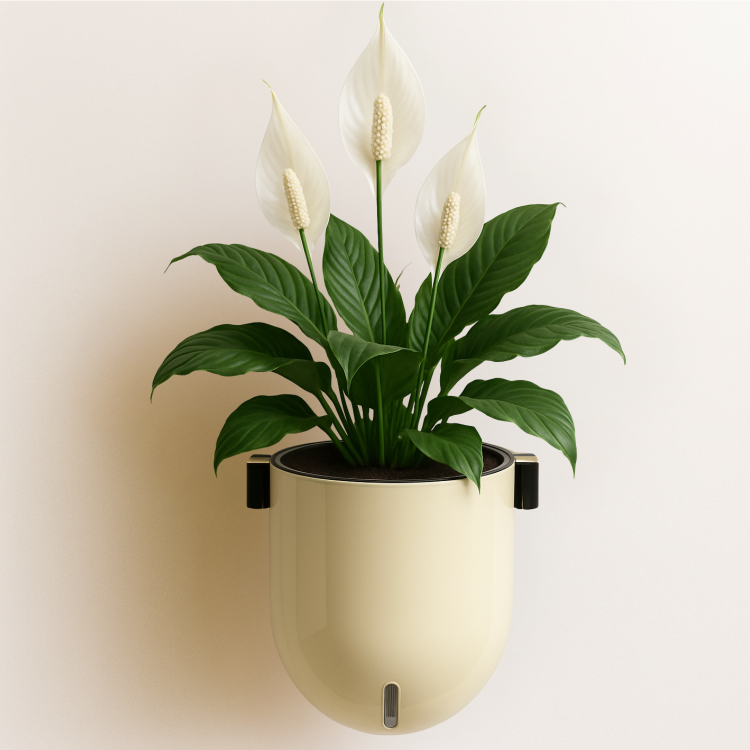 Elegant Ivory Self-Watering Wall Hanging Sphere Planter