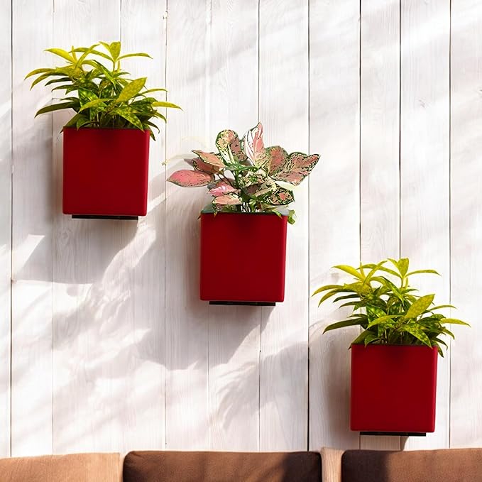 Indian Discovery Self-Watering Wall Hanging Planters (1 Pcs, Maroon, Square) | UV-Resistant Hanging Pots with Stand | Plastic Planters for Balcony, Living Room, Home Décor & Gardening