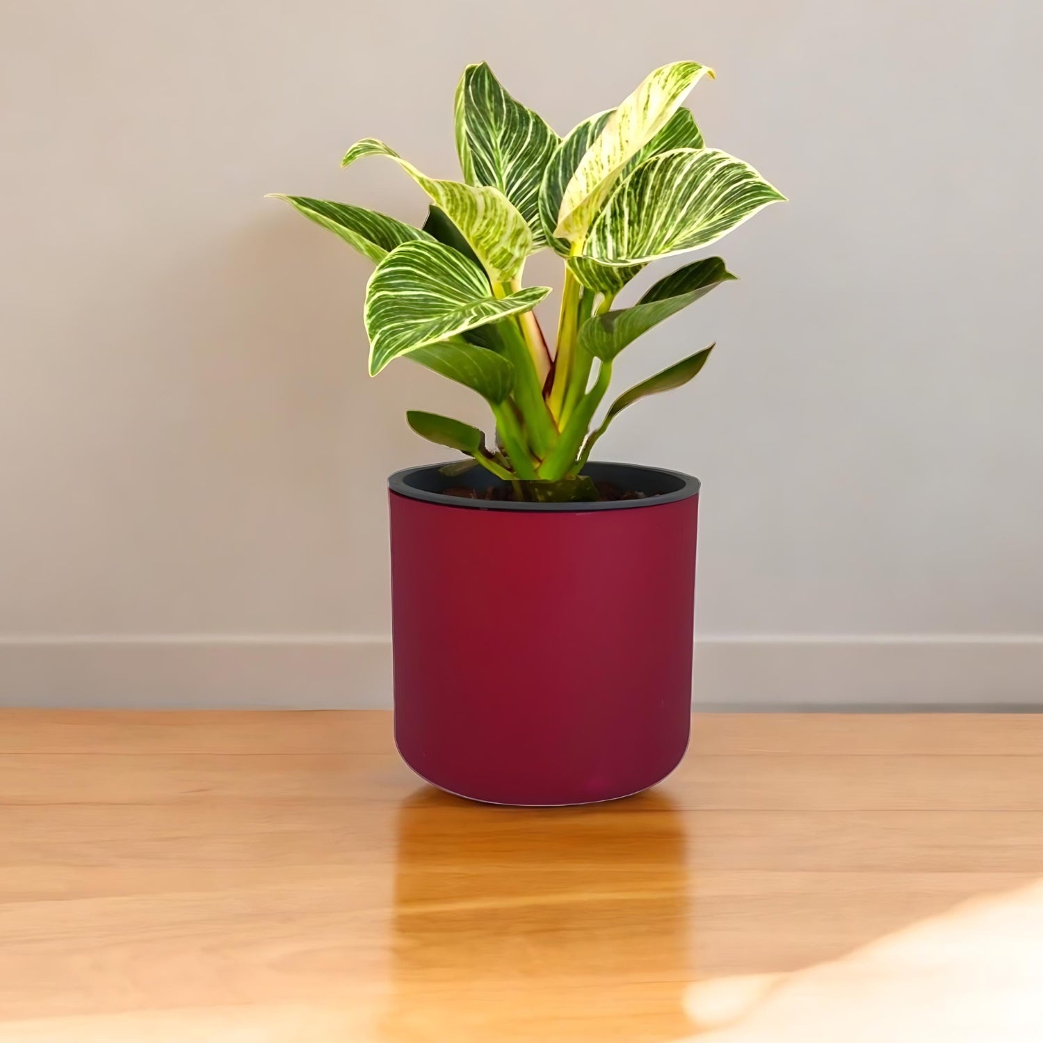 Classic Maroon Self-Watering Round Planter
