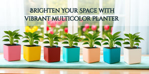 Elegant Multi-Color Self-Watering Square Planter - 7 PC