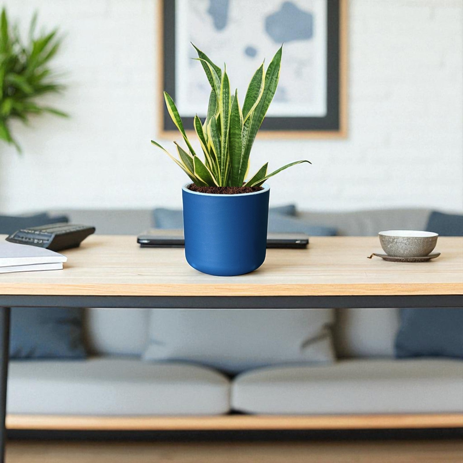 Classic Royal Blue Self-Watering Round Planter