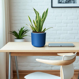 Classic Royal Blue Self-Watering Round Planter