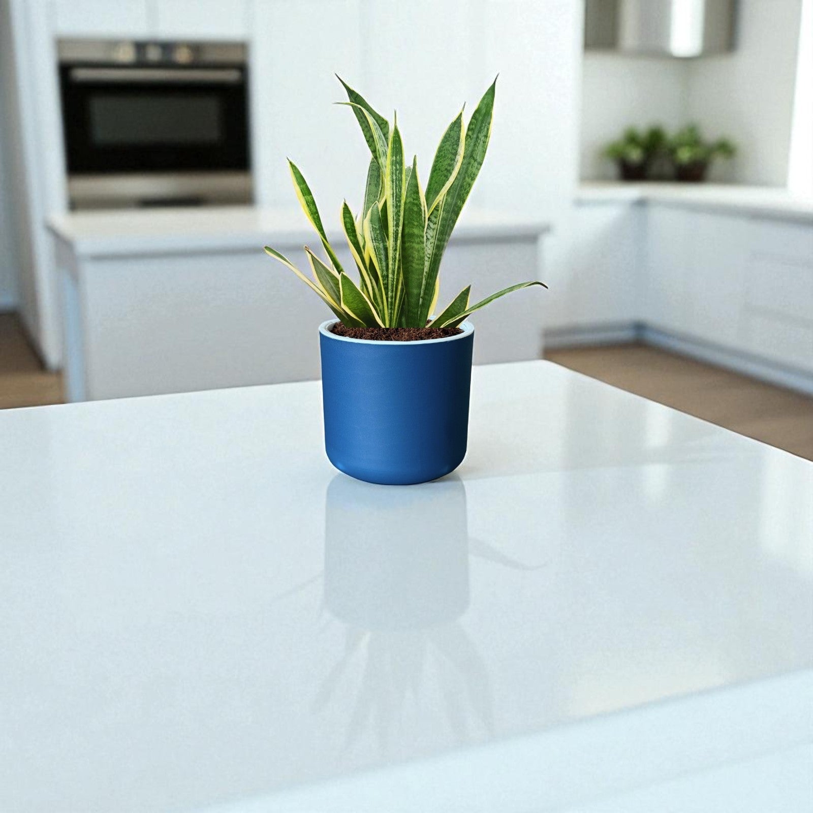 Classic Royal Blue Self-Watering Round Planter