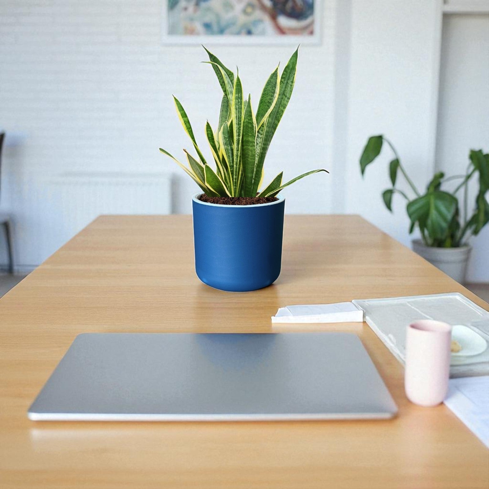 Classic Royal Blue Self-Watering Round Planter